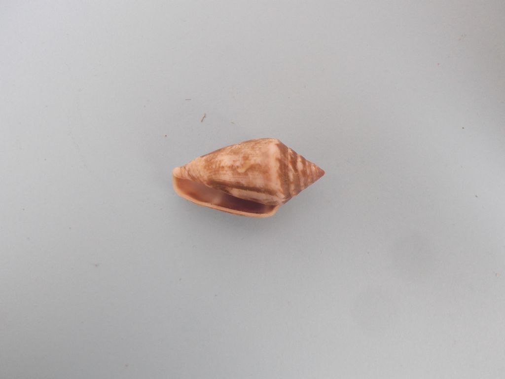 da identificare